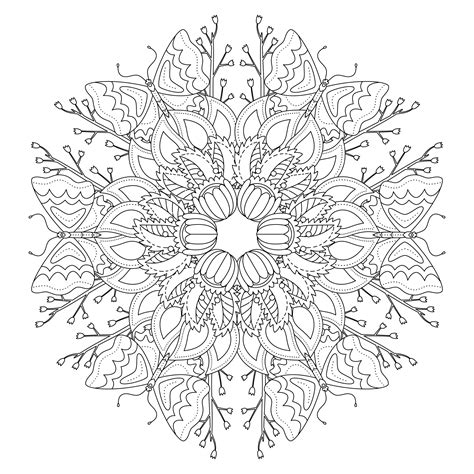 Mandala Coloring Pages Adult Coloring Books Etsy