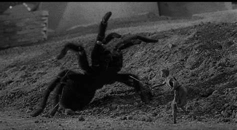 Incredible Shrinking Man04 Cagey Films