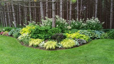 Tips To Create A Beautiful Perennial Garden