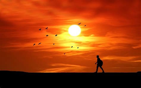 Sunset Silhouette Man Walking Free Stock Photo Public Domain Pictures