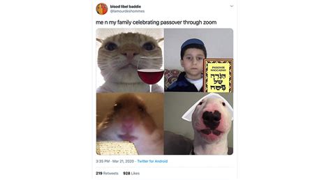24 funny and relatable introvert memes. Passover 2020 Memes - StayHipp