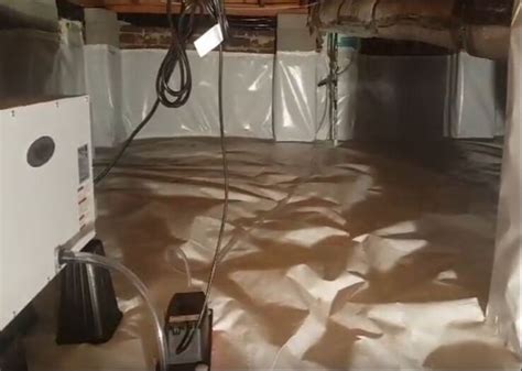 Maybe you would like to learn more about one of these? Mold inspections, testing and removal in VA Beach Virginia ...