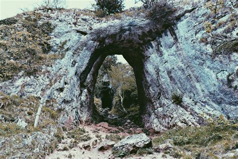 Fotos Gratis árbol Naturaleza Camino Rock Montaña Túnel