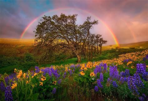 24 Beautiful Nature Rainbow Wallpaper Venera Wallpaper