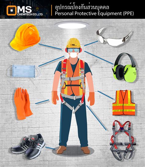 Top 100 Pictures Personal Protective Equipment Images Completed