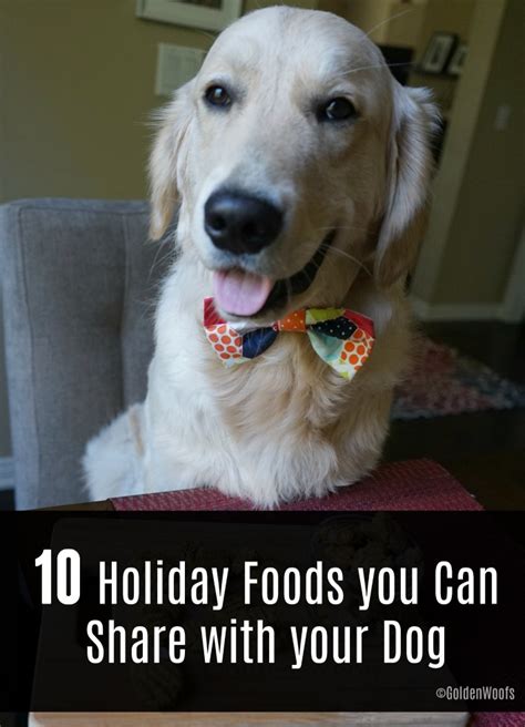 The food stamps program no longer issues paper coupons. 10 Holiday Foods You Can Share With Your Dog - Golden Woofs