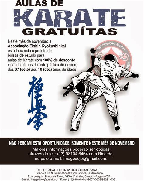 Aulas Gratuitas De Karate Eishin Kyokushinkai