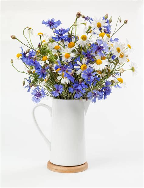 Chamomile And Cornflowers Flowers In A Vase Stock Photo Image Of