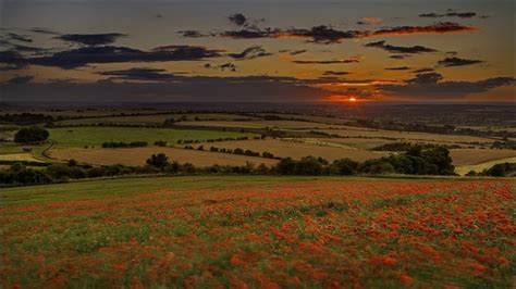 1920x1080 Fields Poppies Sunset Coolwallpapersme
