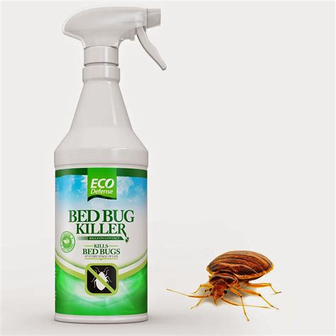 Popular Product Reviews By Amy Bed Bug Killer By Eco Defense Review