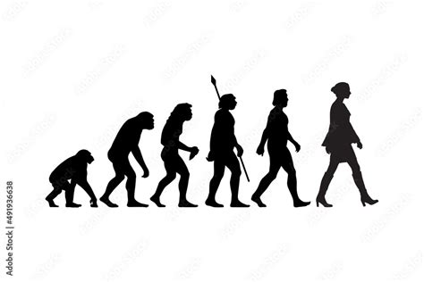 Theory Of Evolution Of Man Silhouette From Ape To Woman Vector