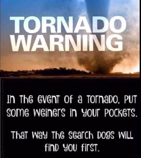 Pin By Louloubell On Tornado Meme Tornado Warning Weather Quotes Tornado