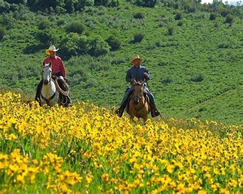 The 10 Best United States Horseback Riding Tours With Photos