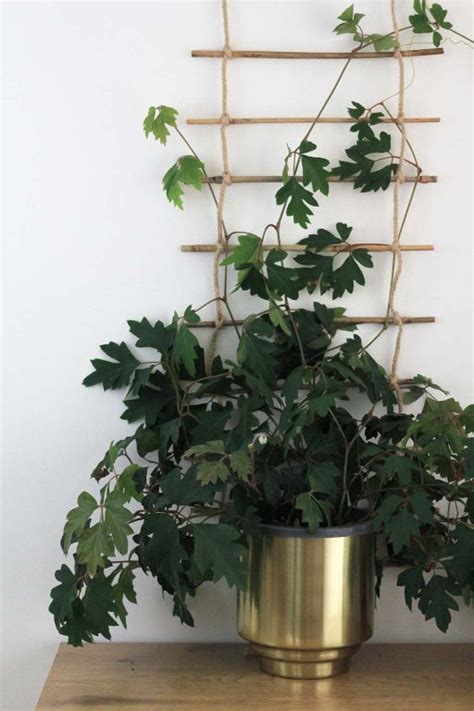 Diy Indoor Plant Trellis From Bamboo And Rope Dossier Blog
