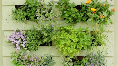 These Cheap Easy Pallet Garden Wall Ideas Are The Perfect Diy Project