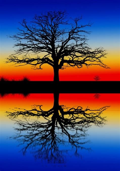 30 Beautiful Photos Of Water Reflection Beautiful Nature Beautiful