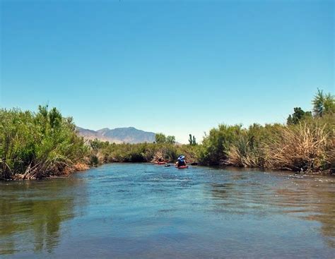 Kayaking Lower Owens River The Best Places Where To Go Kayaking