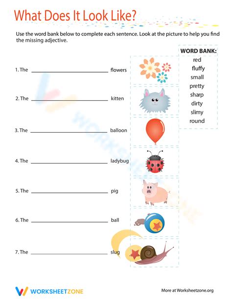 Appearance Adjectives Worksheet