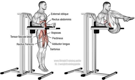 Captains Chair Leg And Hip Raise A Compound Hip And Waist Flexion