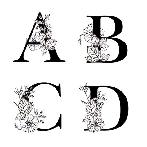 Aquarelle Lettre Alphabet Floral Noir Et Blanc Abcd Vecteur Premium