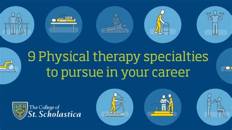 9 Physical Therapy Specialties To Pursue In Your Career The College