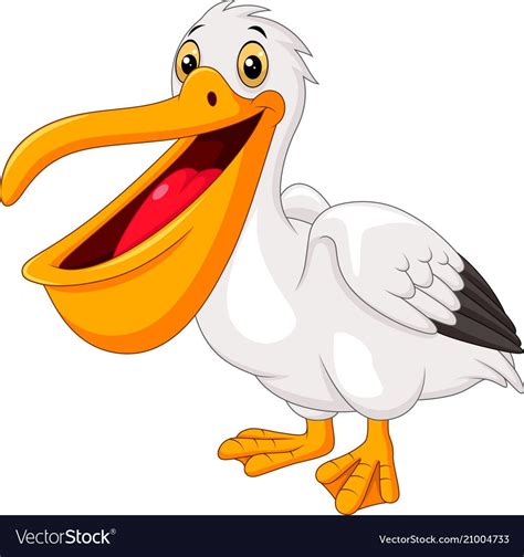 Cartoon Pelican Isolated On White Background Vector Image On