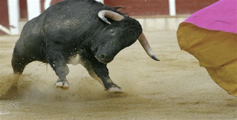 Can Anything Throw the Current Bull Off its Stride ...