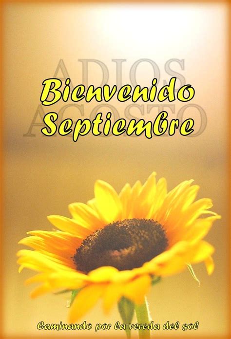 Adios Agosto Bienvenido Septiembre Frases Frases De Buenos Días