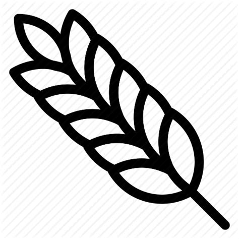 Wheat Line Drawing Free Download On Clipartmag