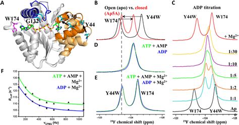 Odinak Conformational Dynamics During Catalysis A Selection Of