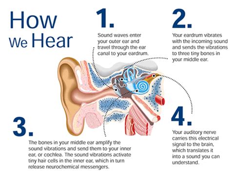 Hearing Care Florida Hearing Exams And Treatments