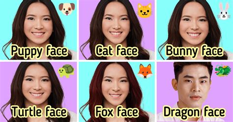 In South Korea People Compare Animals With Human Faces 5 Minute Crafts