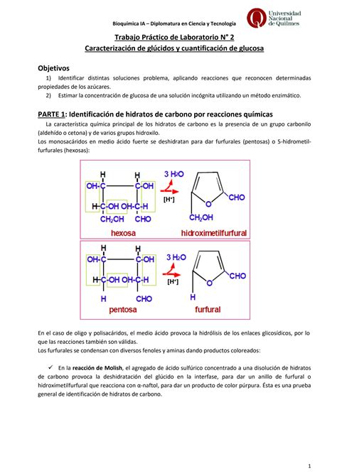 Solution Tp Hidratos De Carbono Studypool