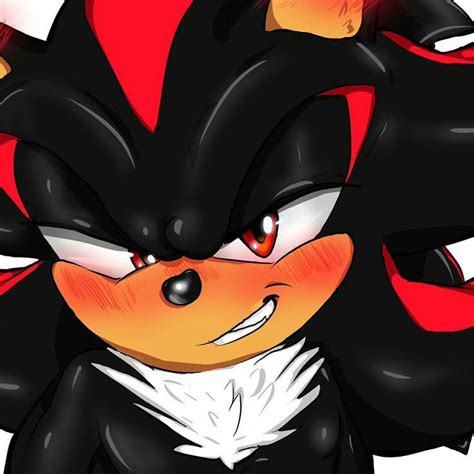 Shadow X Reader One Shots And Lemons Shadow The Hedgehog Shadow And