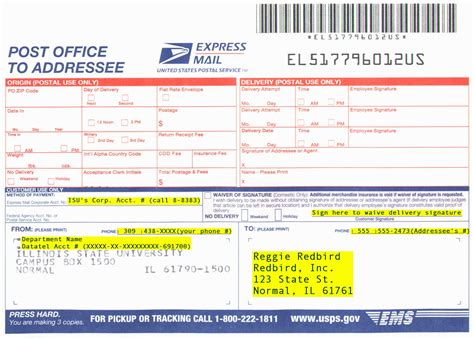 Usps Mail Template