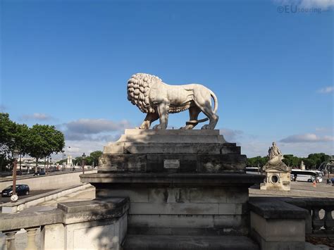 Sw Lion Statue In Tuileries Gardens Paris Page 956