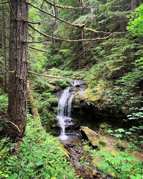 Best Waterfall Trails In Ford Pinchot National Forest Alltrails