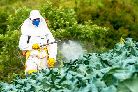 Monsanto Lawsuit What The 289 Million Verdict Means To You