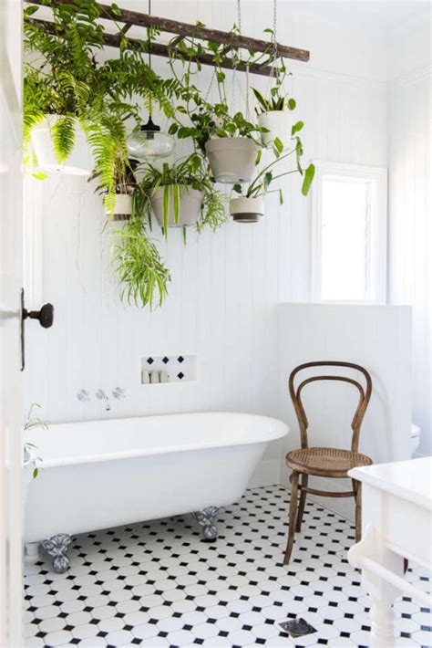 Con la sua semplicità crea un effetto pieno e anche artistico. Decorare il Bagno: Scegliere le Piante e le Candele Giuste