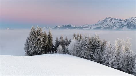 Nature Snow Forest Mountain Mist Landscape Wallpapers Hd Desktop