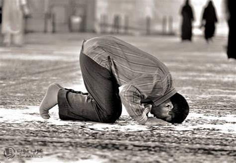 برنامج المصلى للأذان والاقامه برنامج شامل لا غنى عنه لأى مسلم لأنه يهتم بمواقيت الصلاة. أهمية وفضل الصلاة المكتوبة
