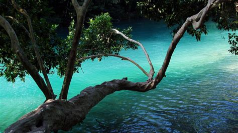Free download hd & 4k quality beautiful nature photo wallpapers. Nature Wallpaper Free Download - Windows 10 Backgrounds