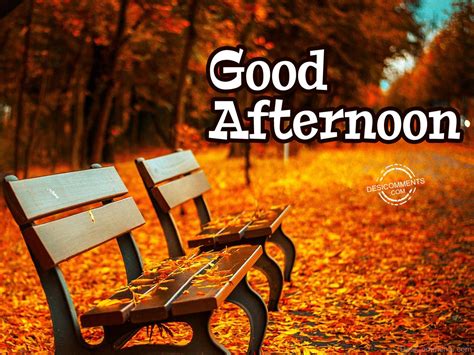 Good Afternoon Pictures Images Graphics For Facebook Whatsapp Page 3