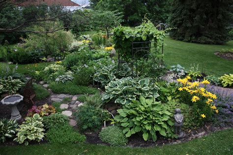 Fern Garden Ideas You Should Check Sharonsable
