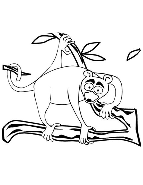 Big Eyed Lemur Coloring Page Color Luna