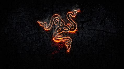 Razer Inc Razer Logo Snake Gaming Series Orange Wallpapers Hd