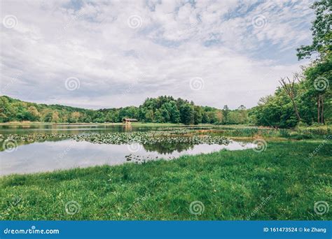 Serene Pond In Woods With Blue Sky And Clouds Stock Photo Image Of