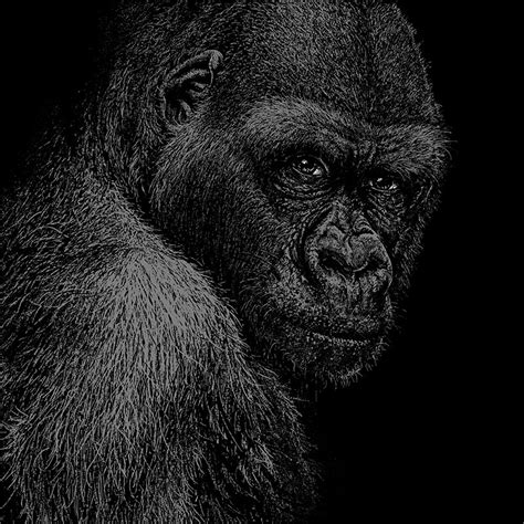 Great Ape Fine Art Print Roland Straller Vegan Art