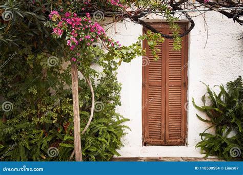 Old House Window Stock Photo Image Of Grass Brown 118500554