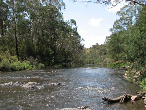 File:Yarra River Wonga Park.jpg - Wikimedia Commons